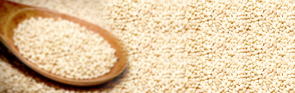 長康香芝麻調(diào)味油 長康香芝麻調(diào)味油